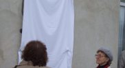 Újvárosi iskola-Tóth József emléktábla